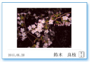ご利用方法 メッセージを作成するカード画像04